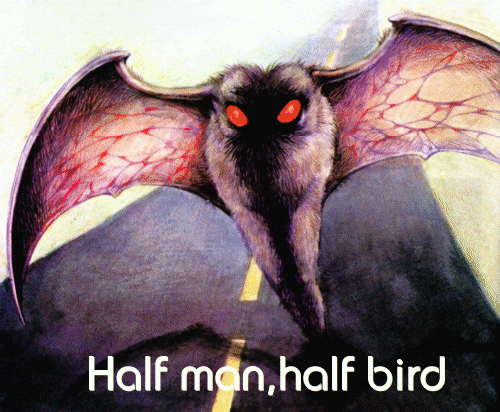  In West Virginia, USA, a winged figure as big as a small aircraft blocked the road in front of a car in the early 1960s. It took off straight up' - a seemingly impossible feat for a creature of such a size. This may have been the first sighting of the Mothman, which was to be seen frequently in the state five years later