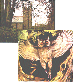 The Owlman sightings took place in an area of ancient significance: near Mawnan Church,which was built inside a prehistoric earthwork (top).
 Sally Chapman and Barbara Perry encountered the creature in nearby woods (bottom)