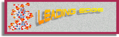 Leading Edge Logo
