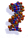 DNA:The Double Helix of Life