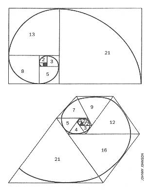 Spirals formed from Padovan/Fibonacci